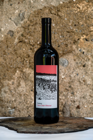 Gamay, Perroy Grand Cru, 70cl 2024